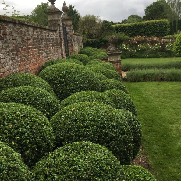 WhatsApp Image 2025-02-25 at 13.58.09_1a12bcc7